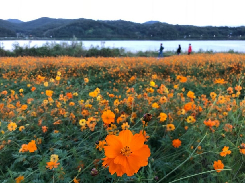 남양주 물의정원_2.jpg