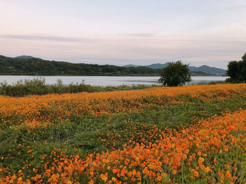 남양주 물의정원_1.jpg