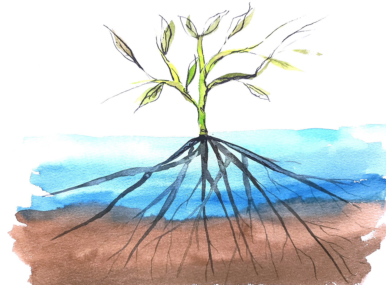 대지를 움켜쥔 씨앗 최종.jpg