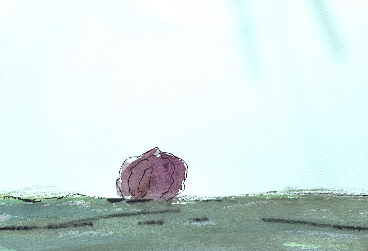 떠다니는 호두1.jpg