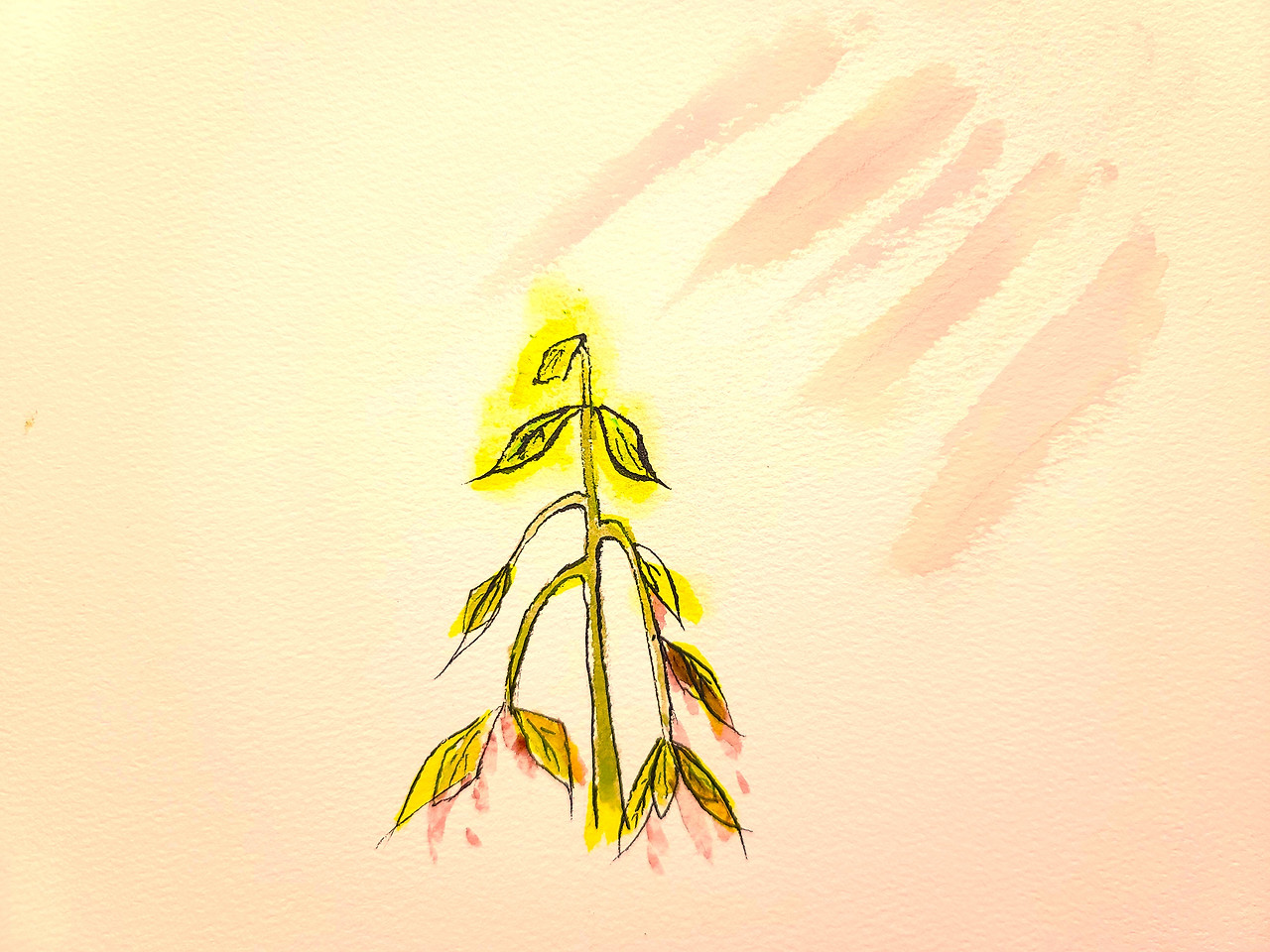 타죽어가는 씨앗 최종.jpg