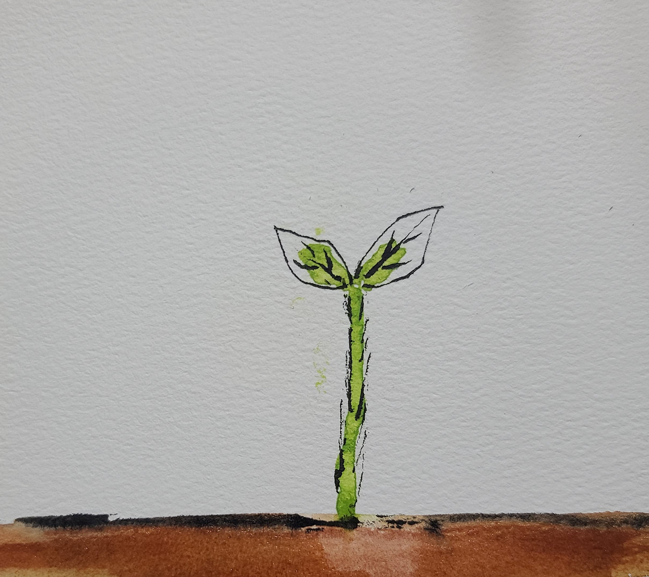 새로운 탄생.jpg