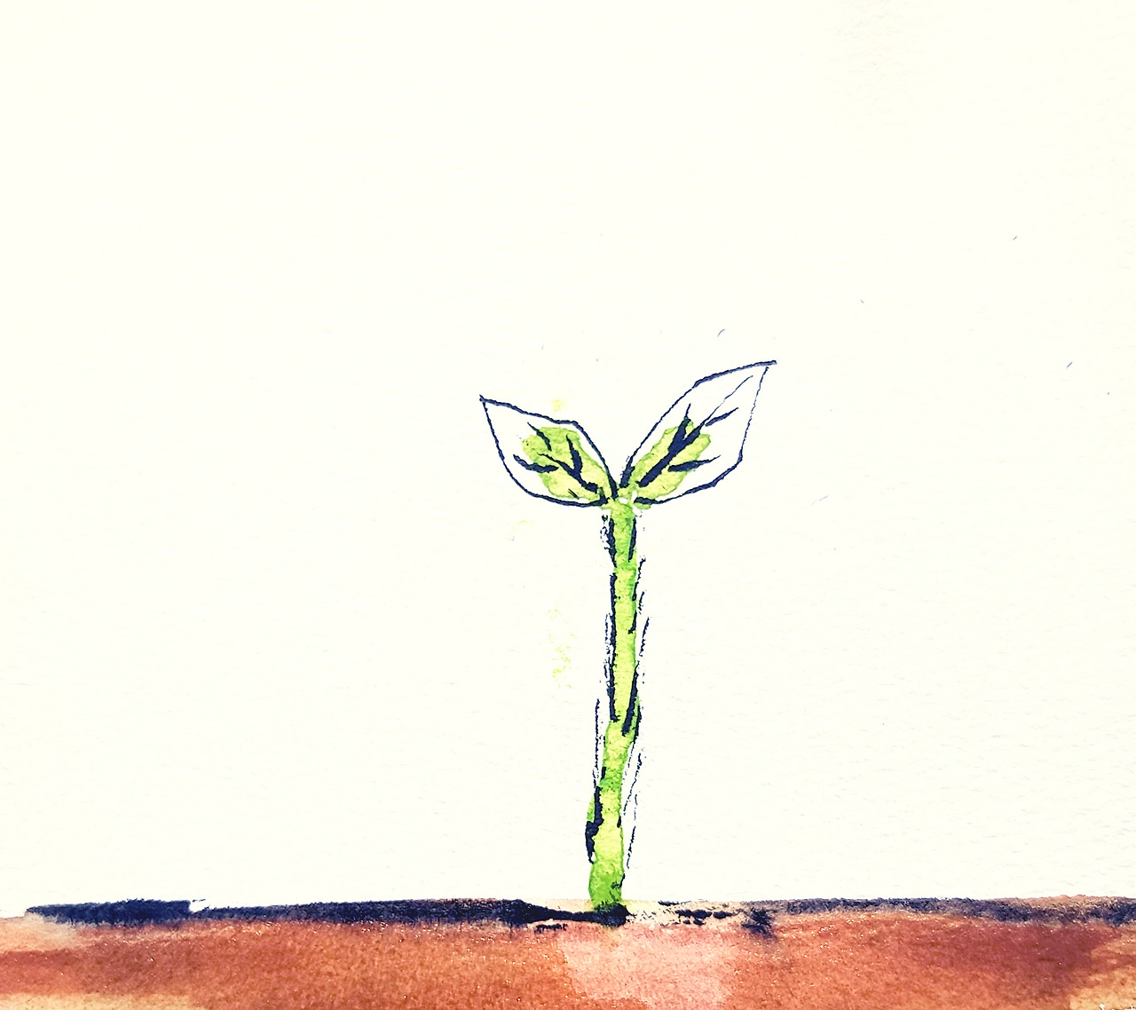 새로운 탄생.jpg