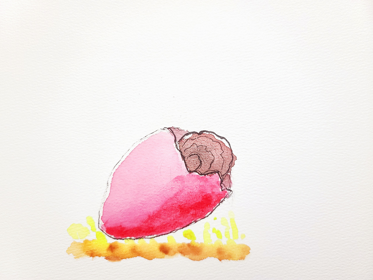 절반이 드러난 씨앗.jpg