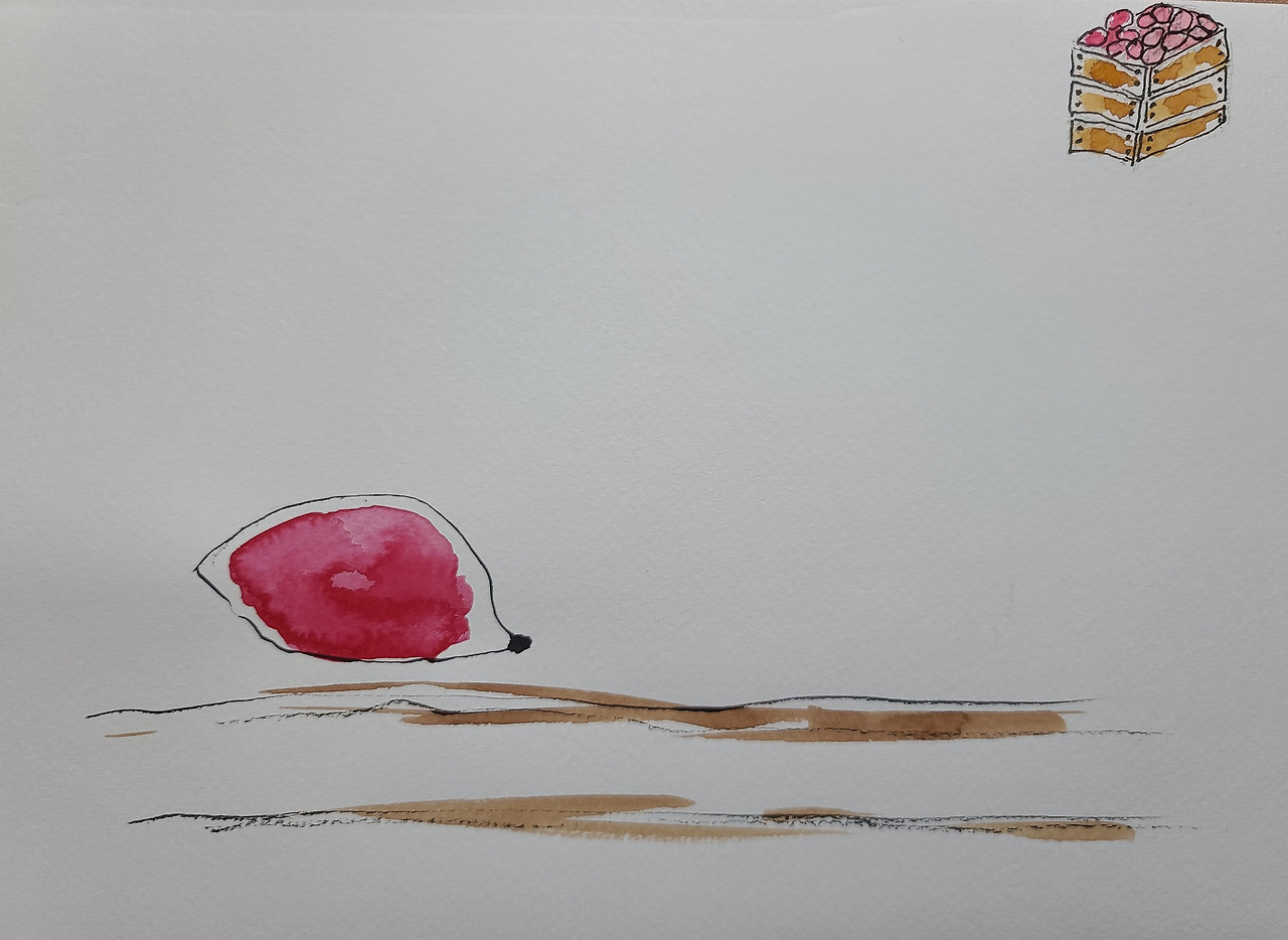 상자에서 떨어진 씨앗.jpg