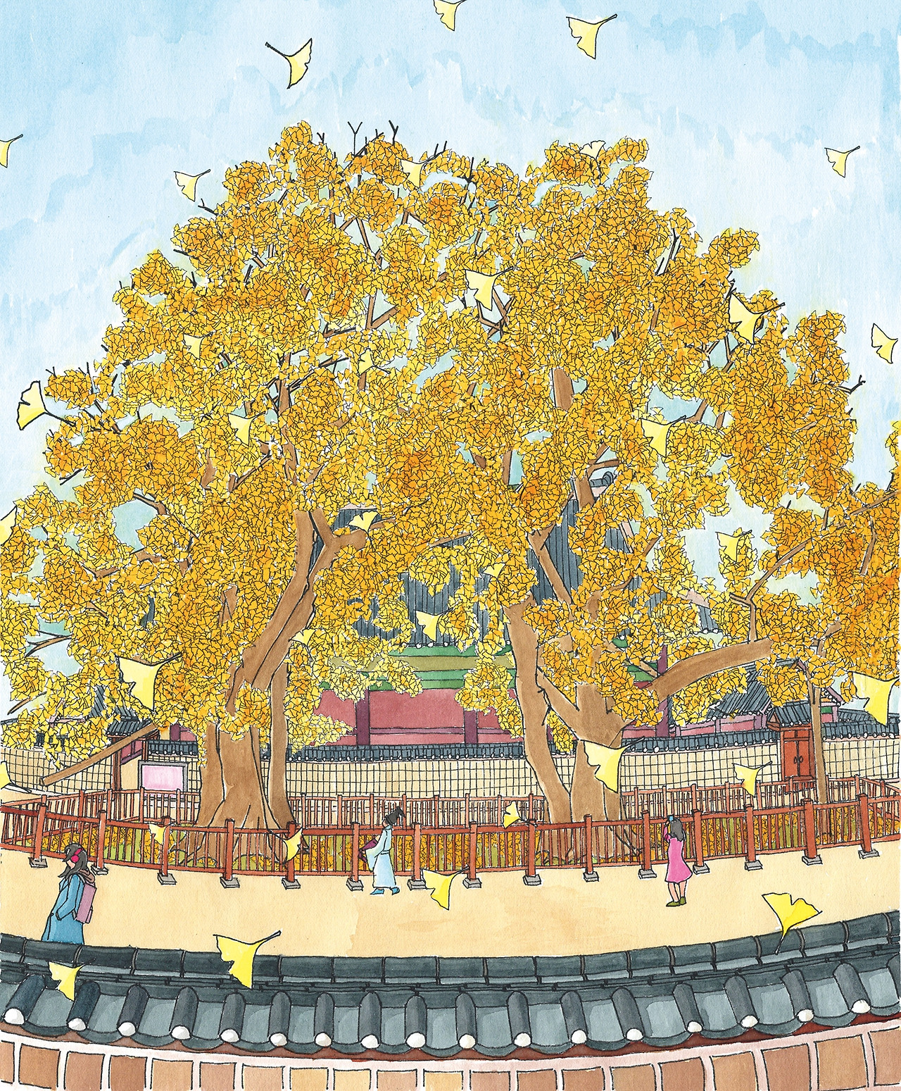 성군관 대성당 은행나무.jpg