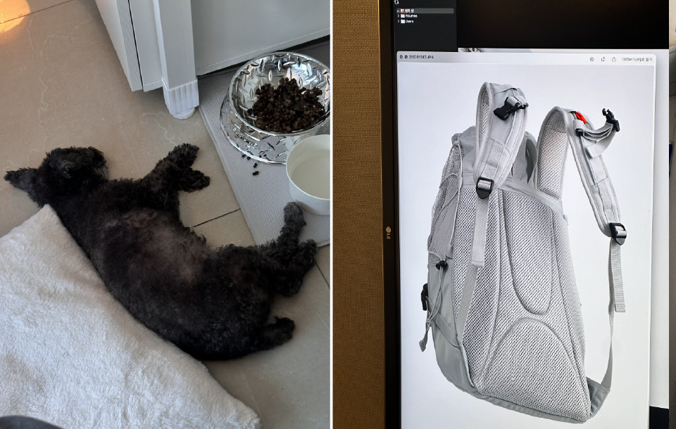 대지 2 사본 7.jpg