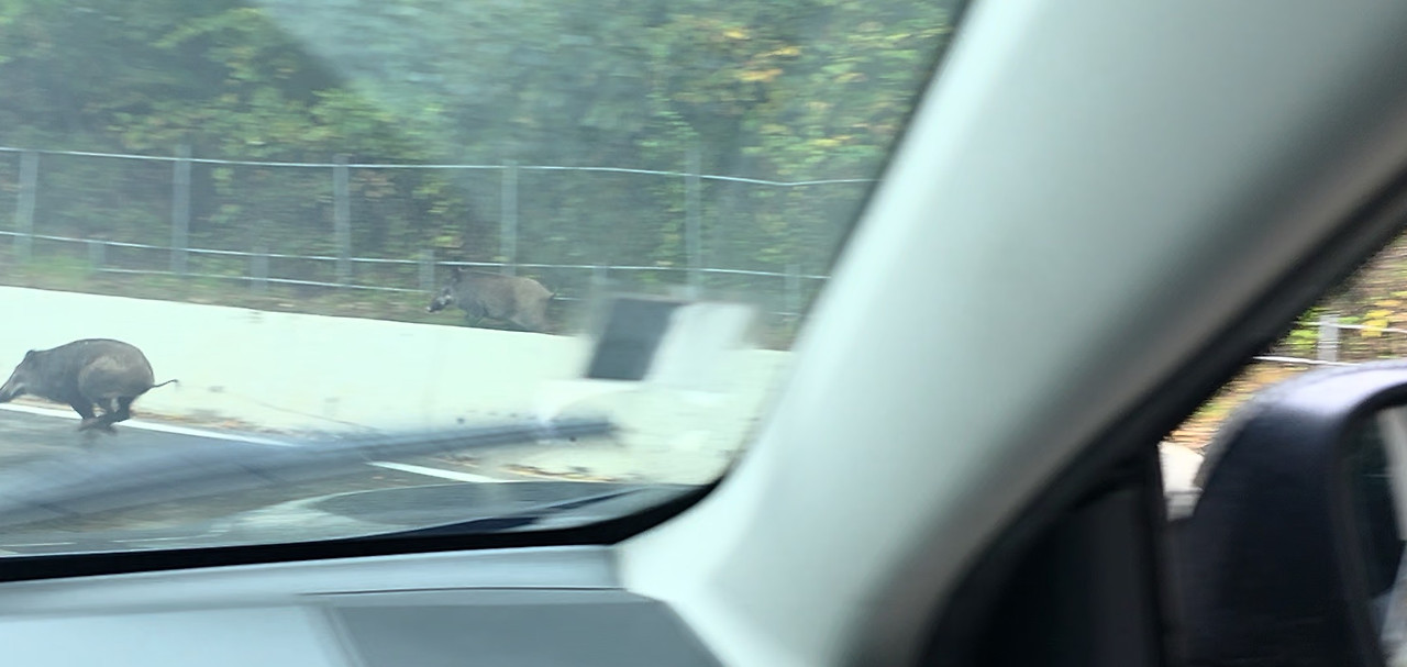 화면 캡처 2026-01-19 213309.jpg