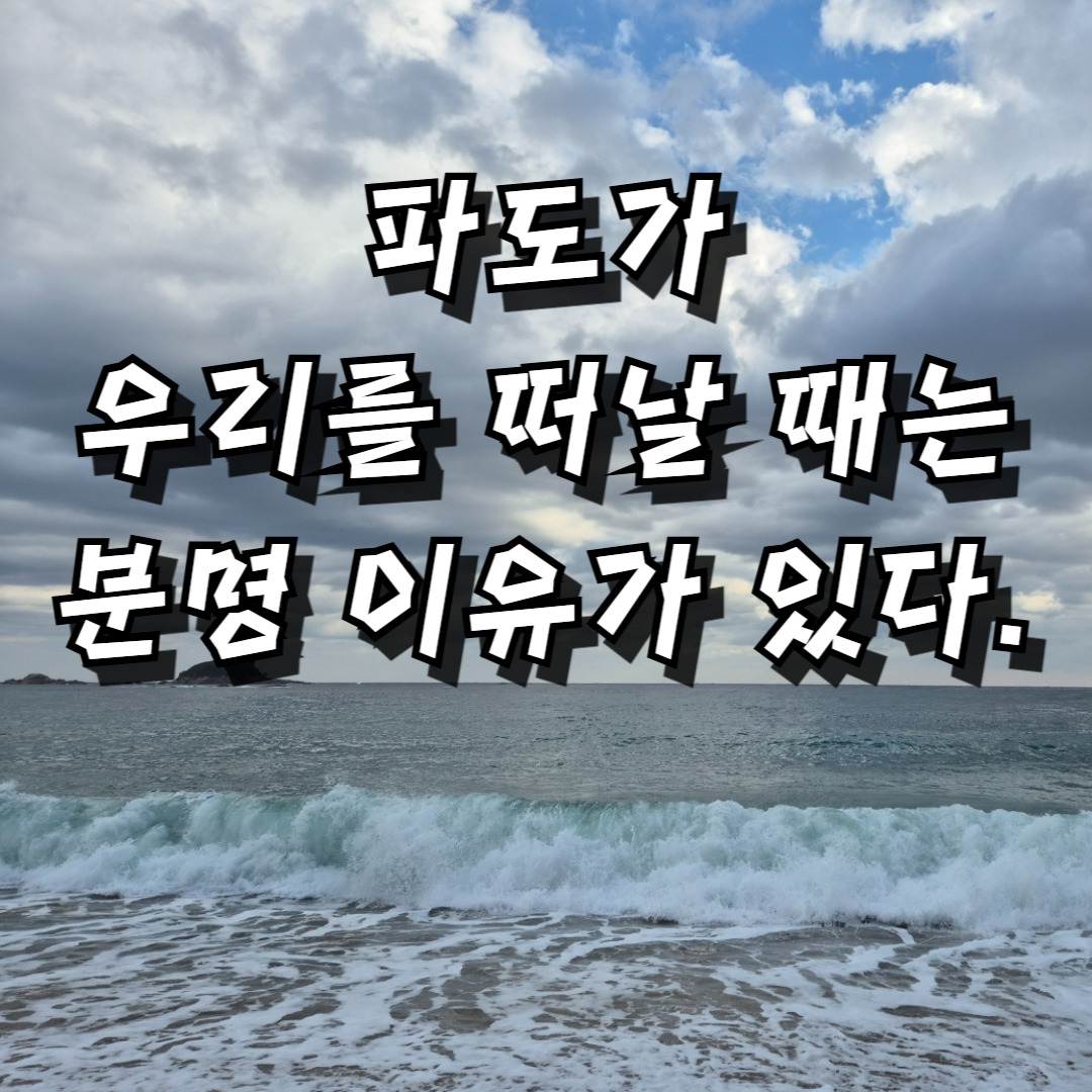 제목을 입력해주세요_-001 (3).jpg