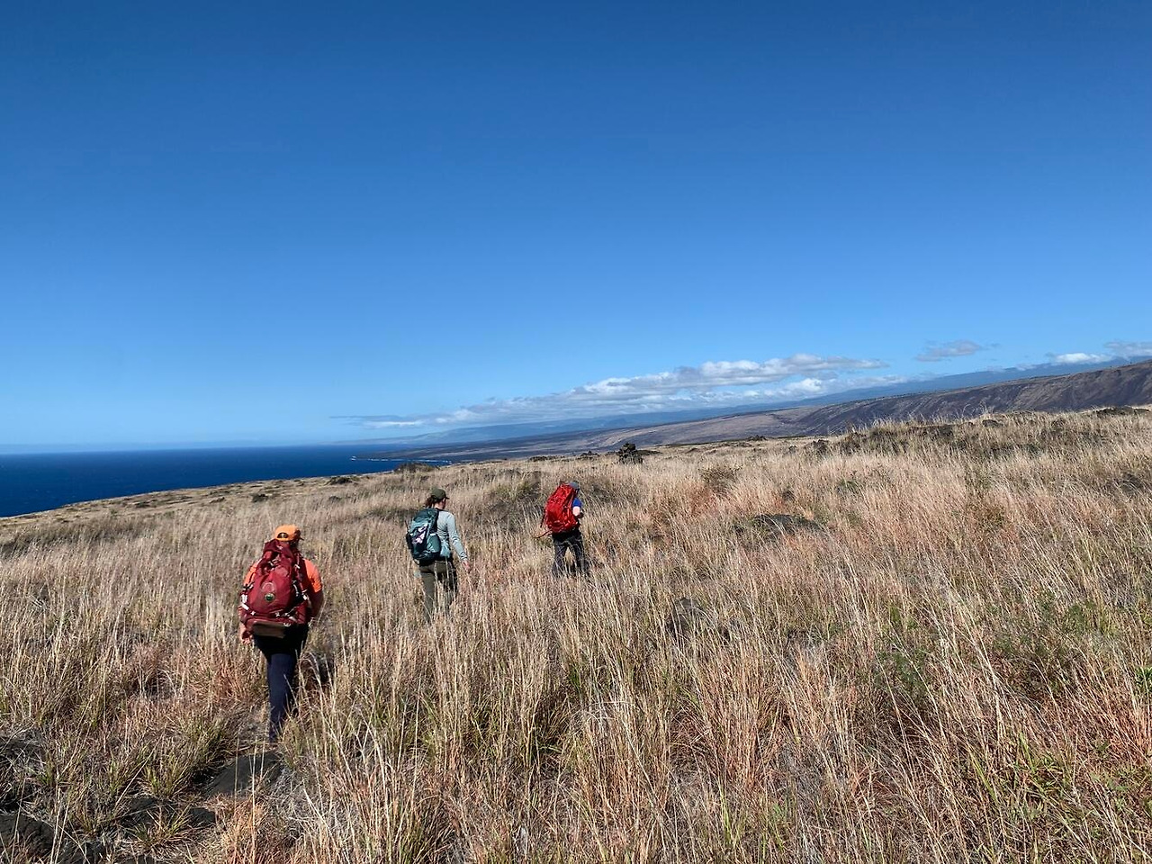 IMG_4479 Hilina Pali Trail.jpg