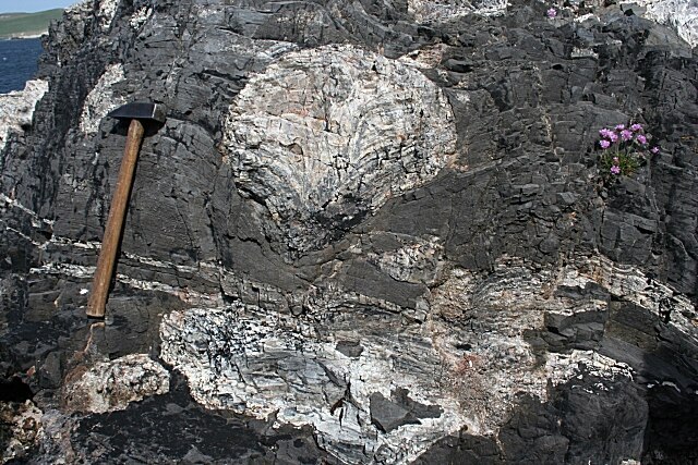 Chert_Nodules_-_geograph.org.uk_-_834156_Anne Burgess.jpg