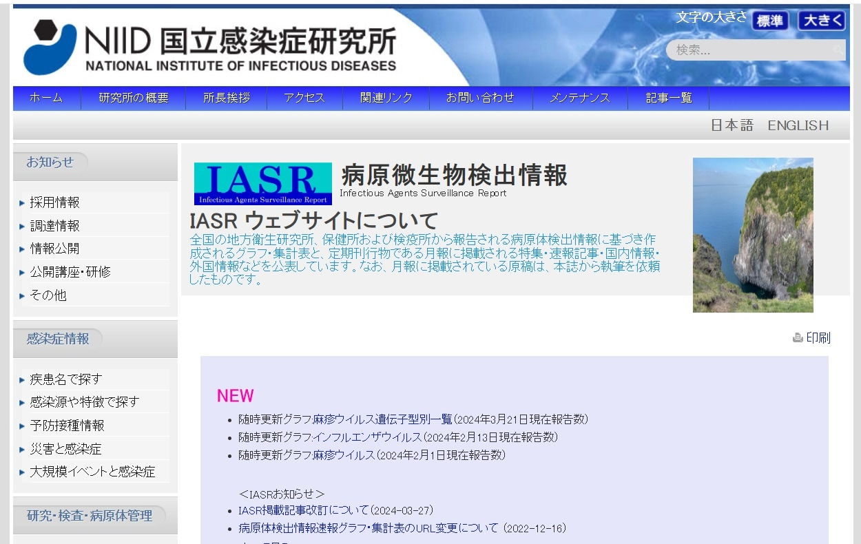 niid 홈페이지.jpg