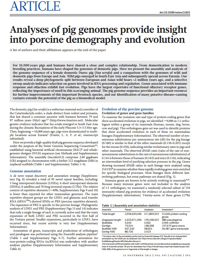 pig gene article_20240327.jpg