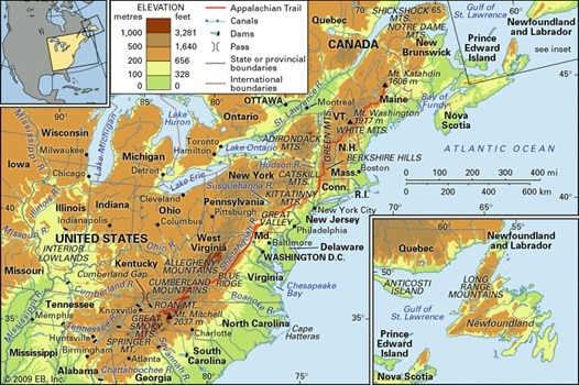 어 워크 인더 우즈 - 7.jpg