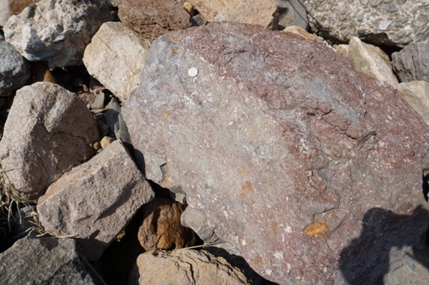 진주층 붉은 셰일_20221015.jpg