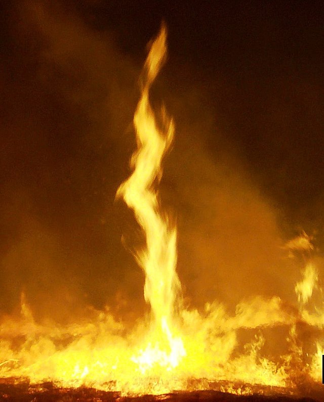 640px-Fire_whirl_(FWS)_crop_U.S. Fish and Wildlife Service.jpg
