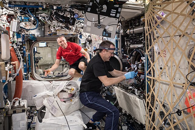 ISS-56_Drew_Feustel_and_Ricky_Arnold_work_in_the_Destiny_lab_(1).jpg
