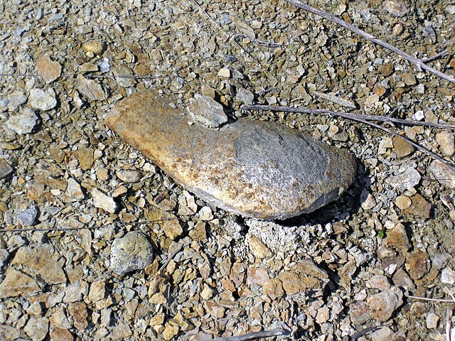 Phosphatic_nodule_in_the_New_Providence_Shale_(Borden_Formation,_Lower_Mississippian;_MacDonald_Knob_Outcrop,_Bullitt_County,_Kentucky,_USA)_2_(45914586791)_James St. John.jpg