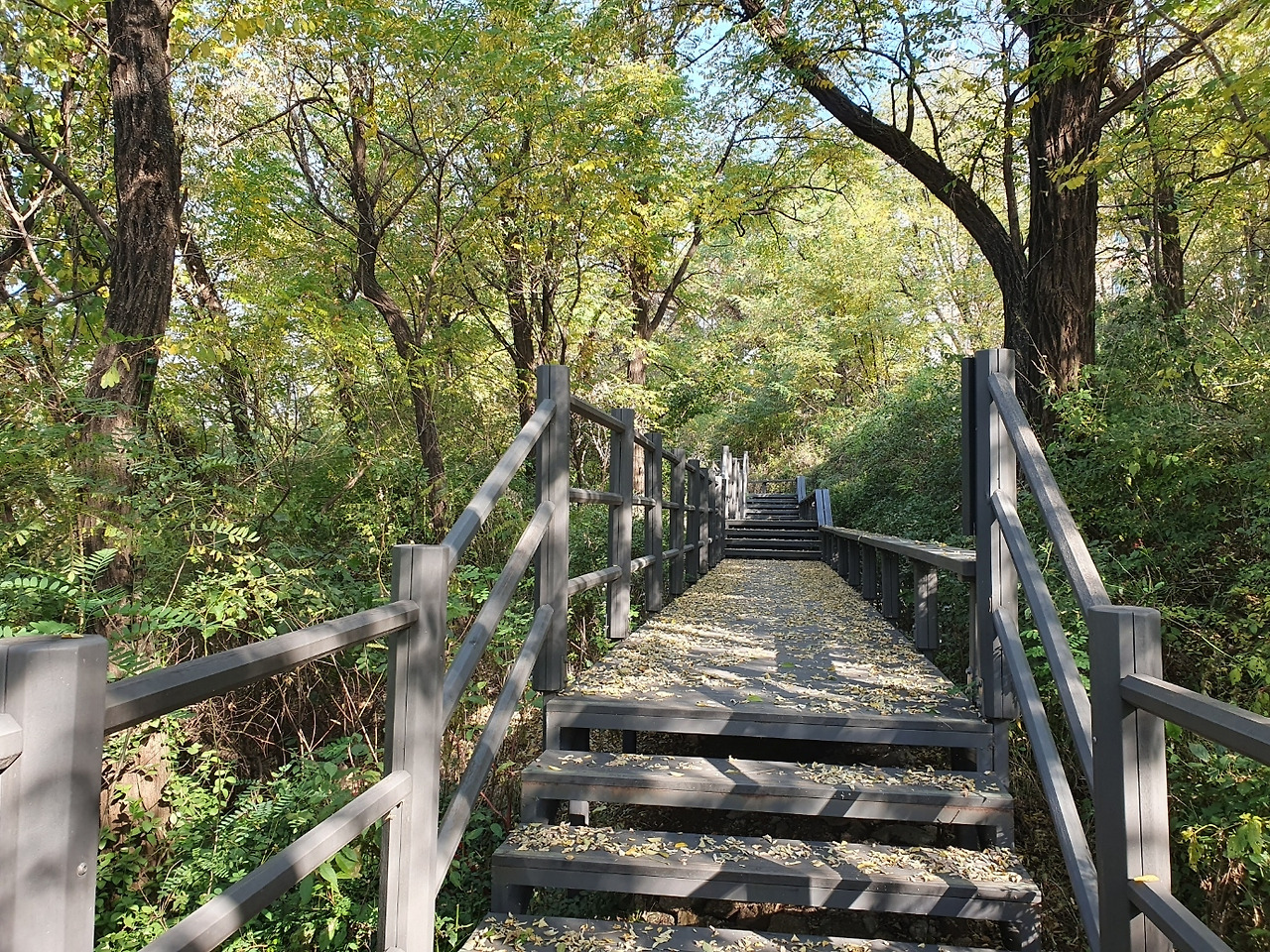 낙엽지는 데크길.jpg