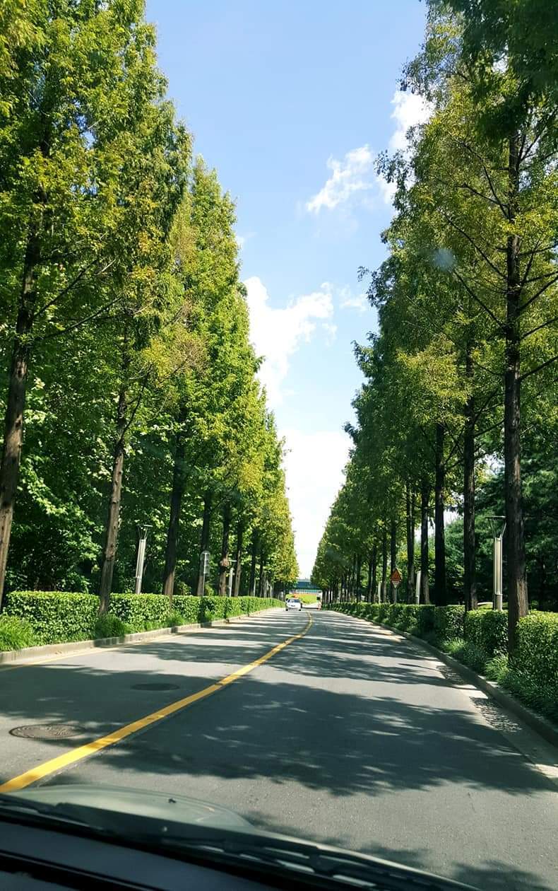 다운로드 (1).jpg