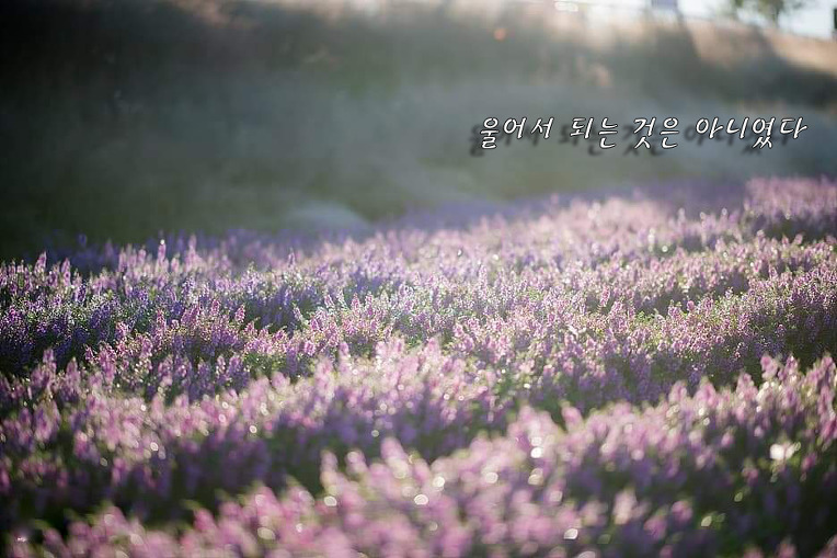 다운로드 (3).jpg