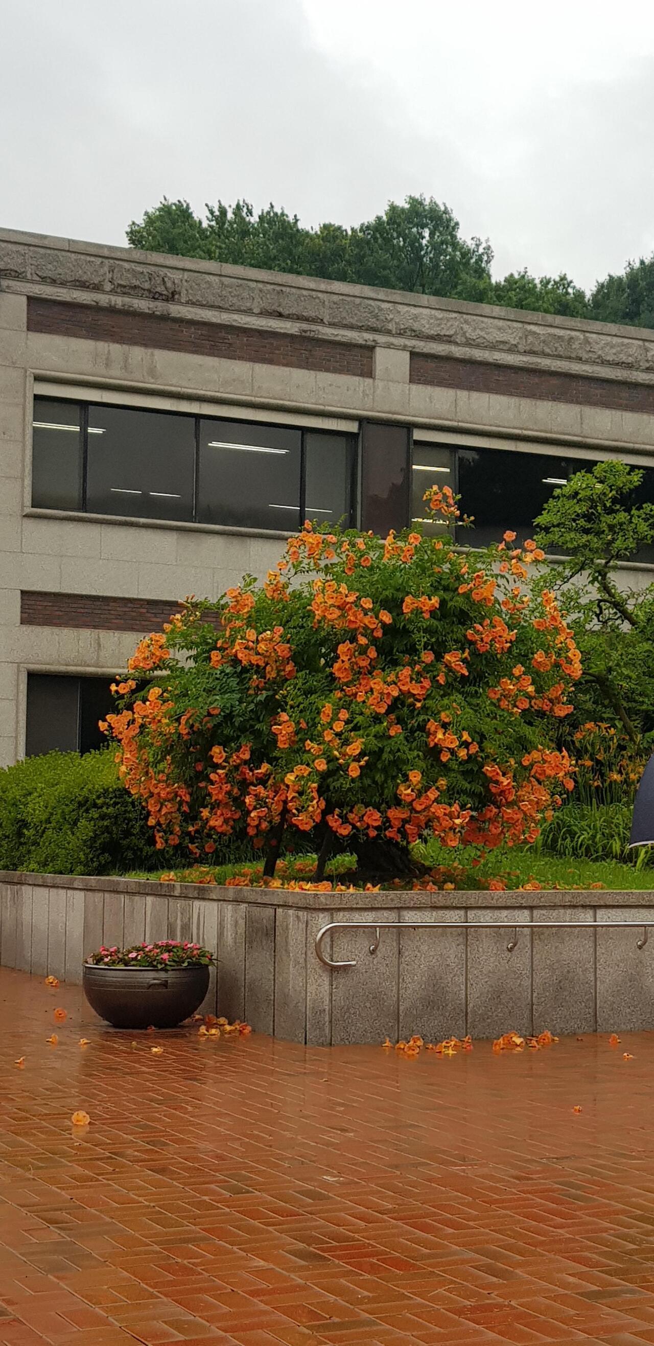 다운로드 (1).jpg