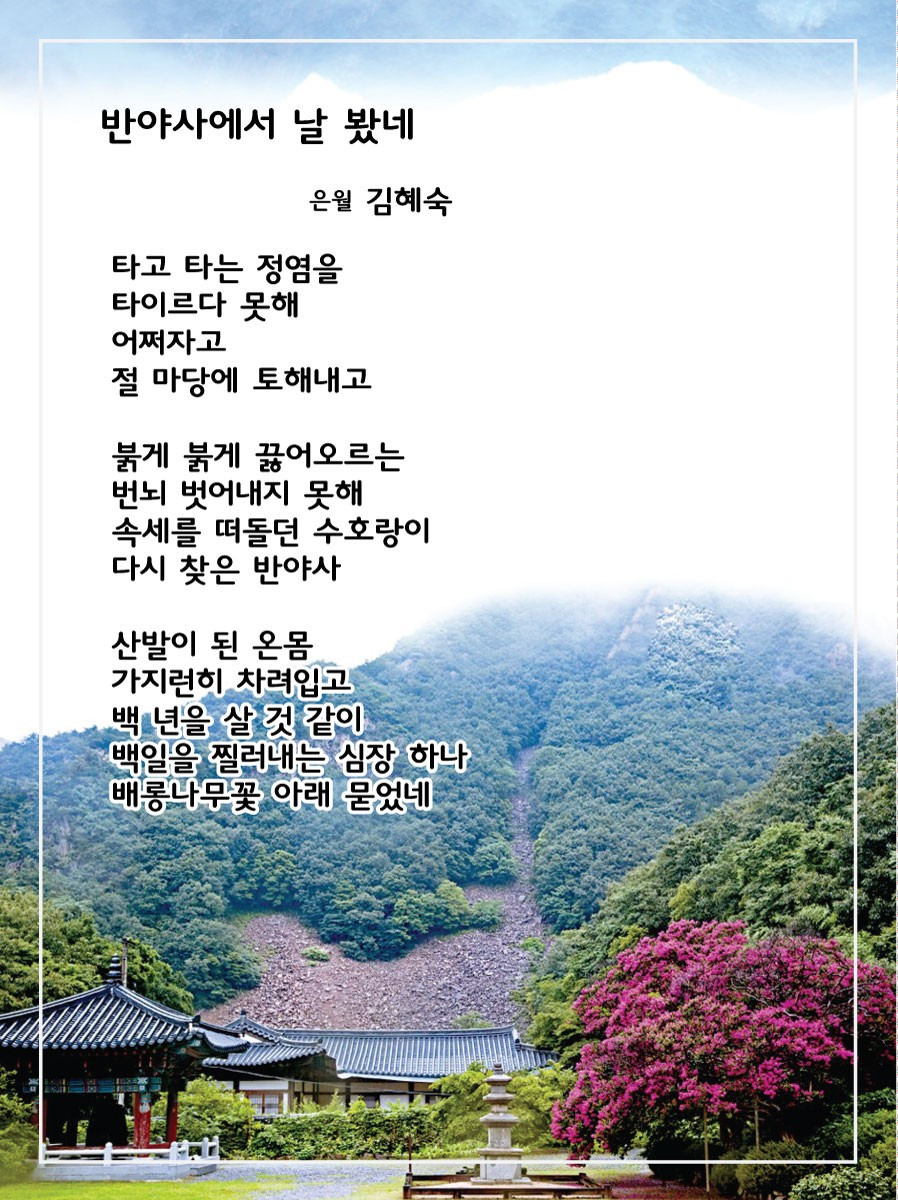 반야사에서 날봤네.jpg