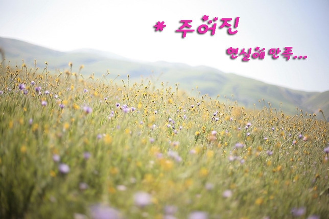 주어진 현실에 만족.jpg