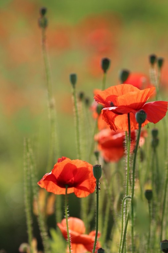 다운로드 (4).jpg