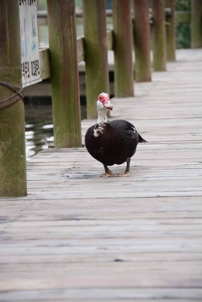 278711863_3884472788445327_538231042518101239_n (1).jpg