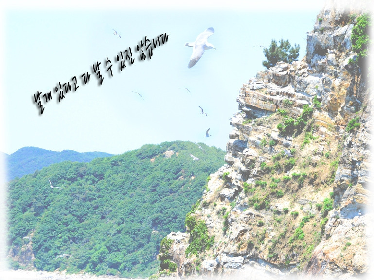 날개 있다고.jpg