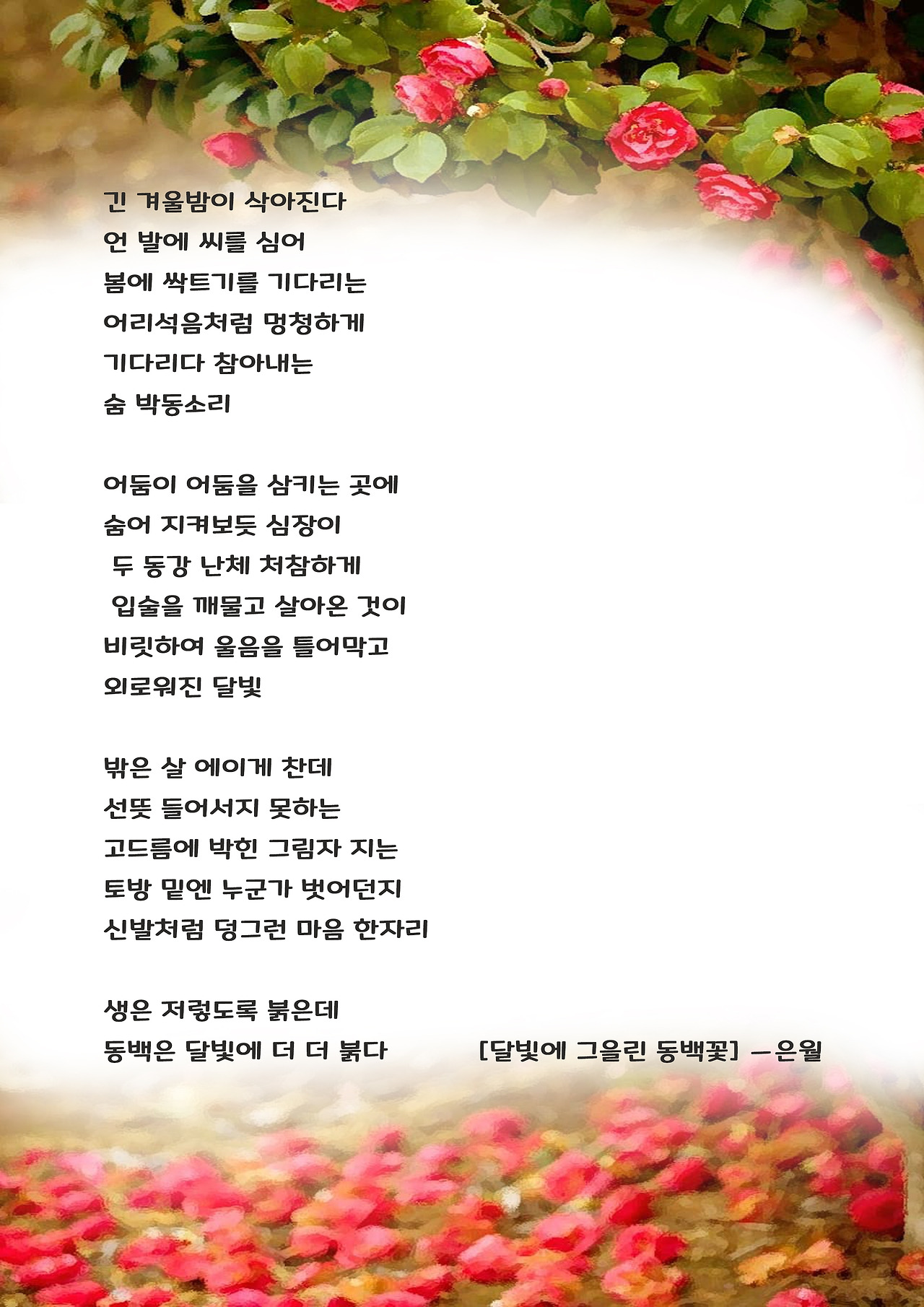 달빛에 그을린 동백꽃.jpg