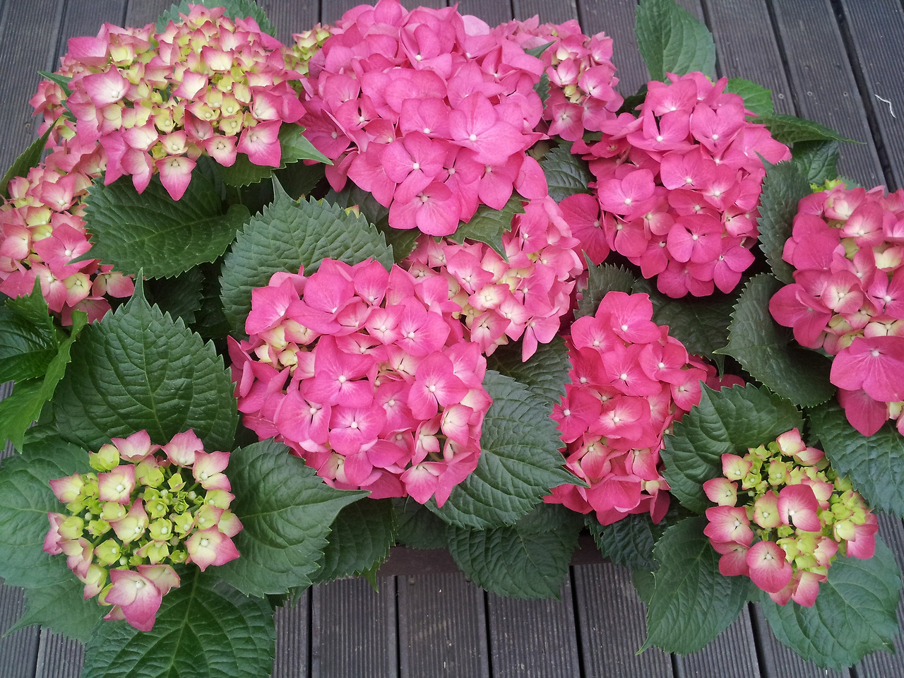 2013-04-28 18.06.49.jpg