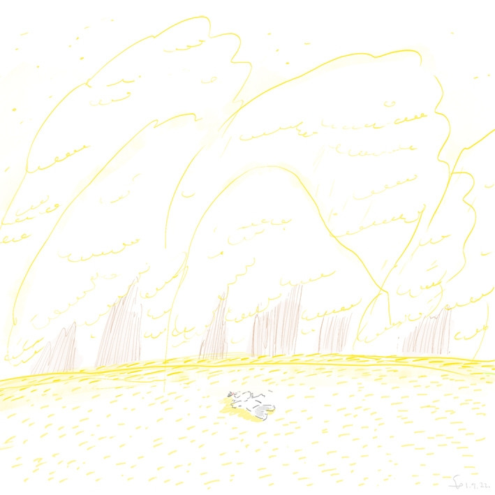 171. 볕 쬐기 04.jpg