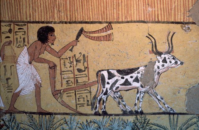 8-1 이집트 무덤에서 발견된 3,500년 전의 벽화.jpg