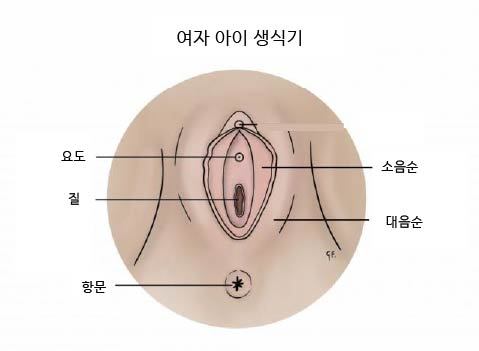 여아 생식기 한글.jpg