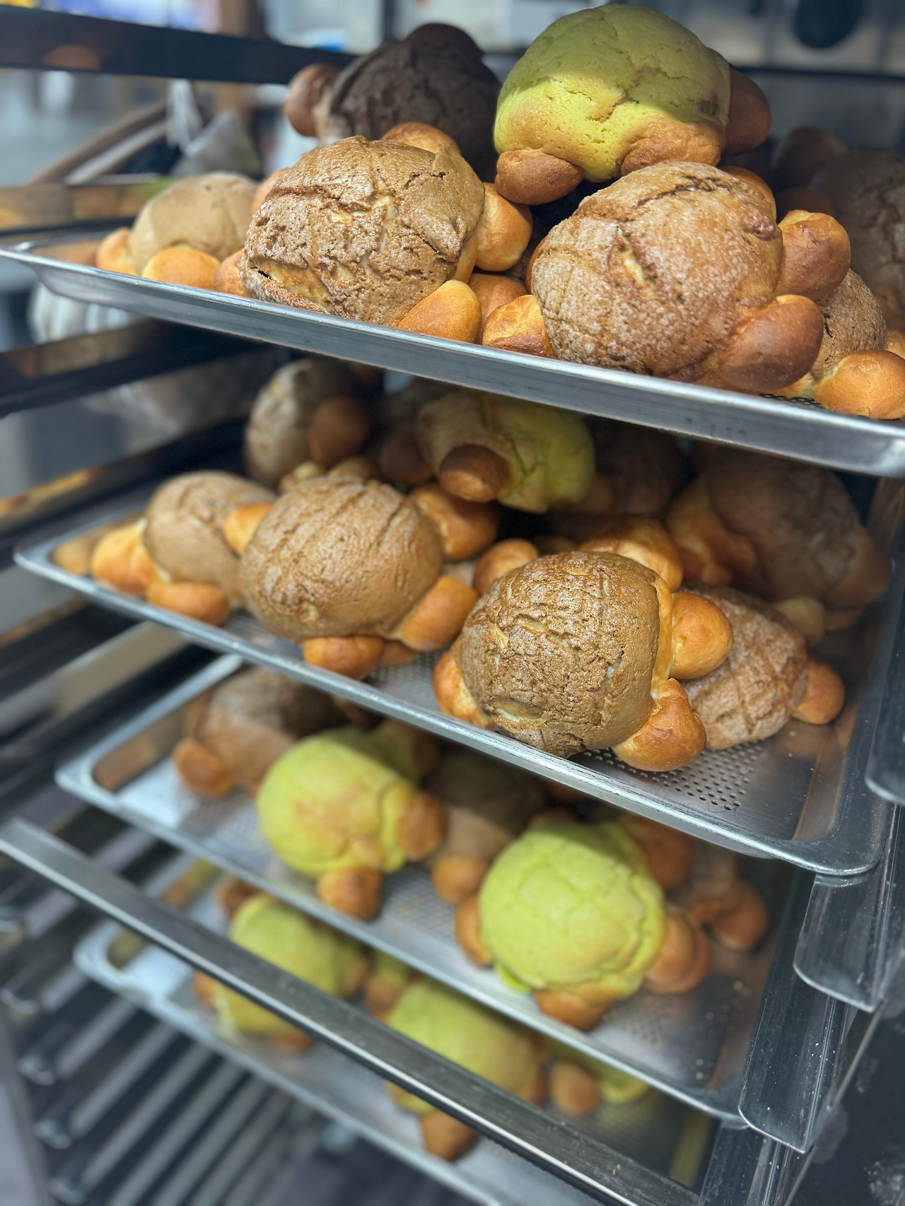 연재8 거북이 주방 사진.jpg