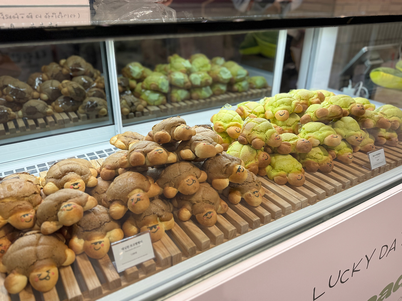 연재15 신세계팝업 거북빵빵이들.jpg