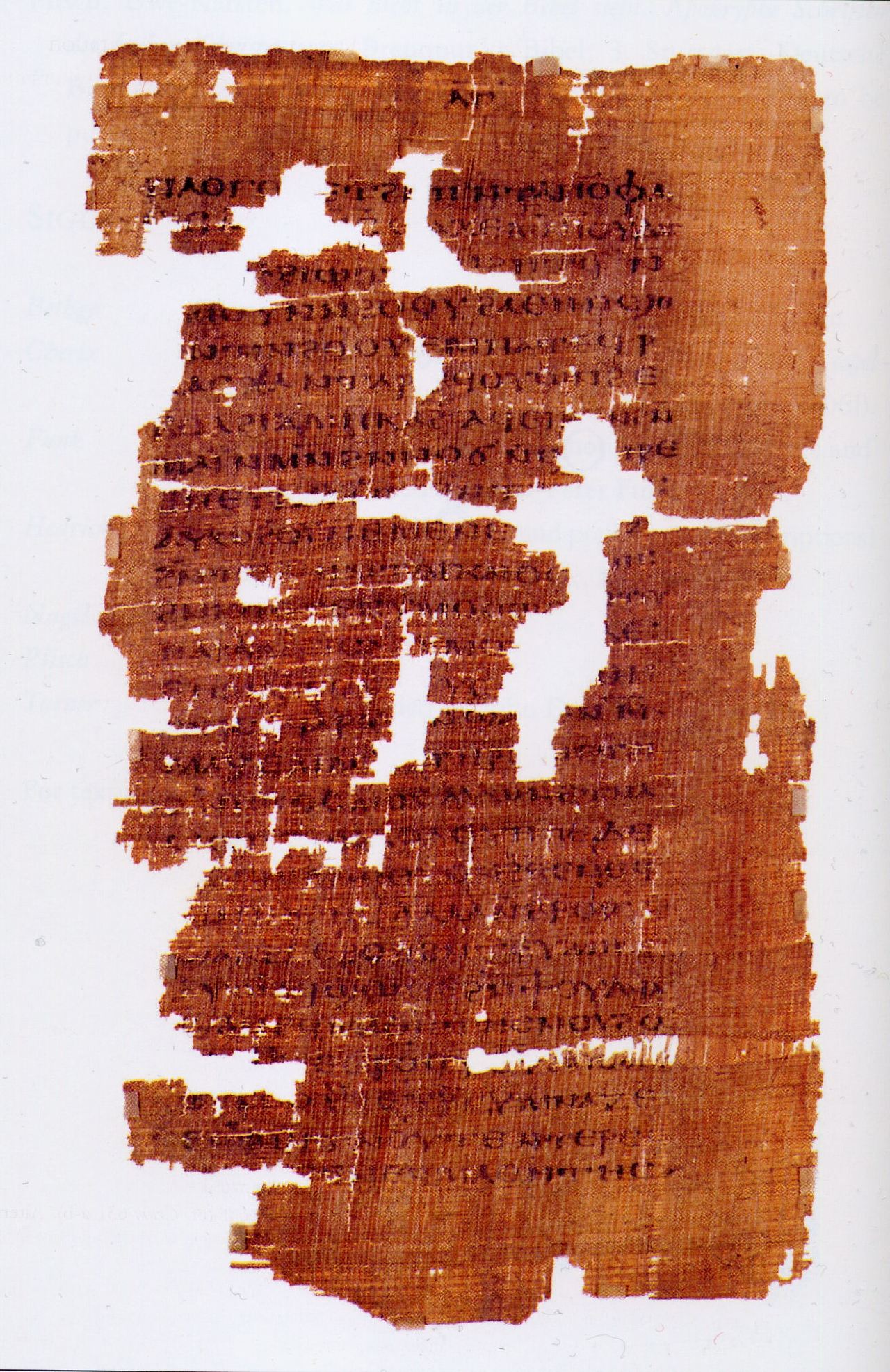 Codex_Tchacos_p33.jpg