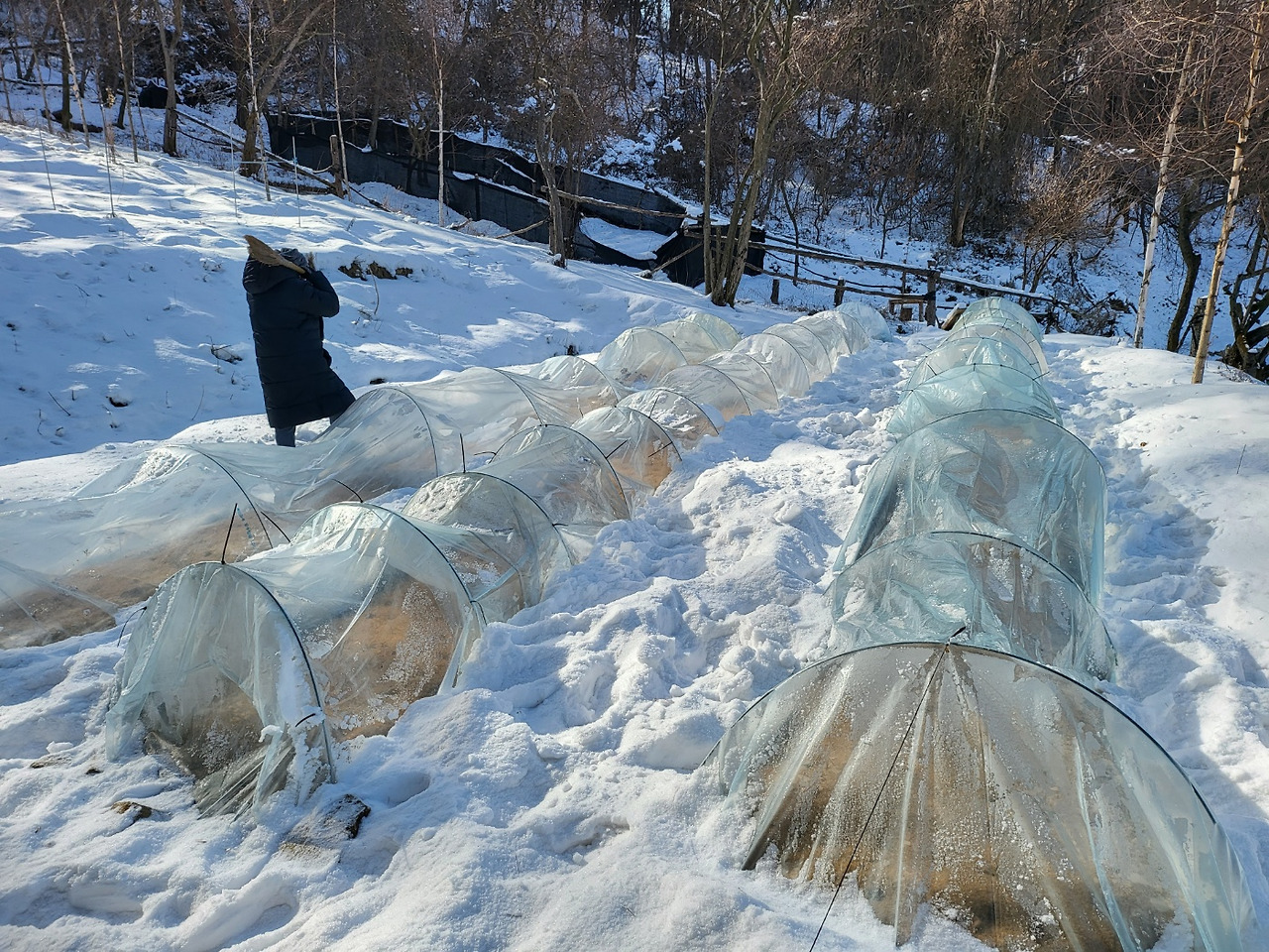 KakaoTalk_20230128_152444775_23 (1).jpg