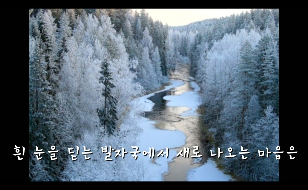 오르골 편지 동영상 3.jpg