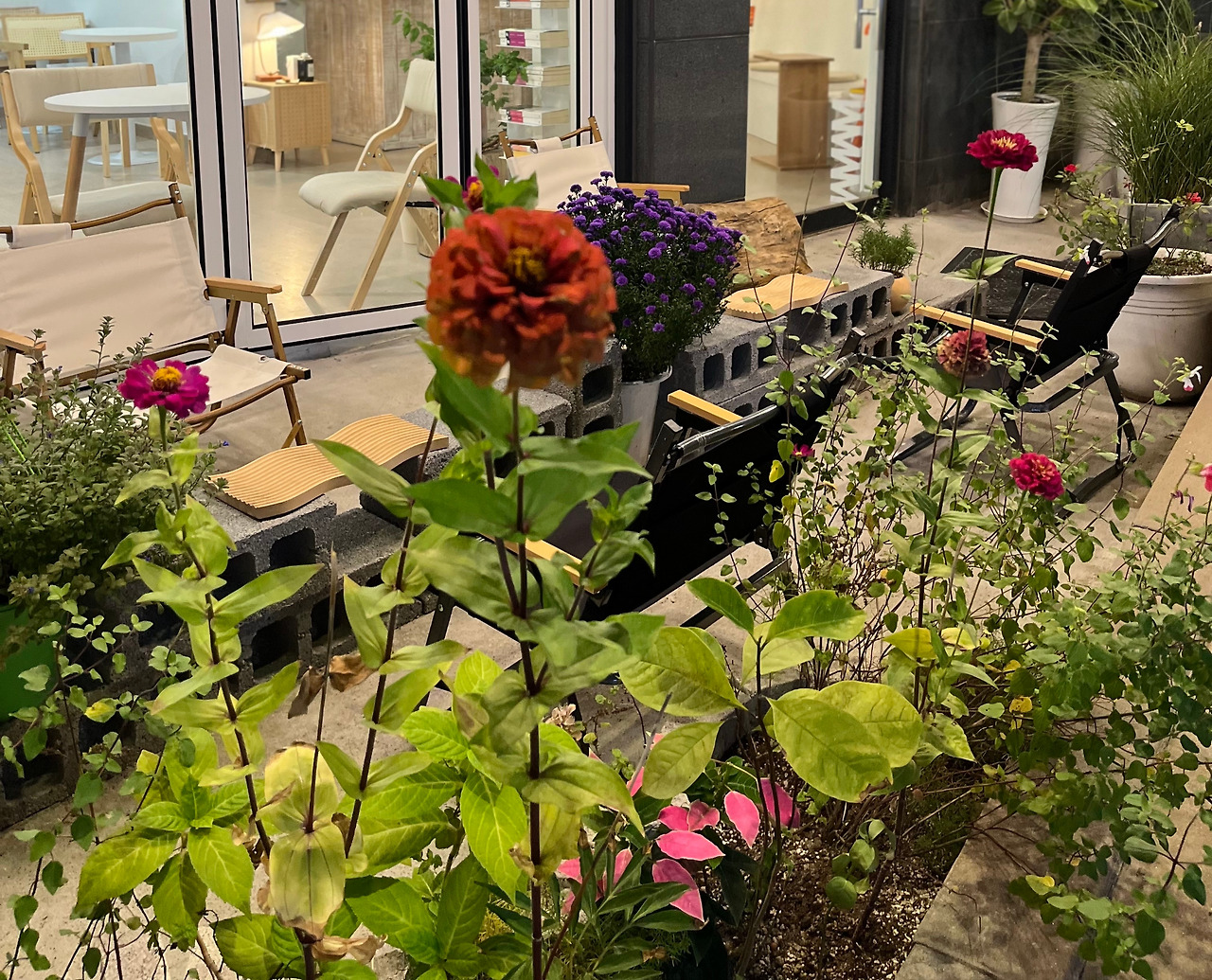 당신의 달, 야외정원.jpg