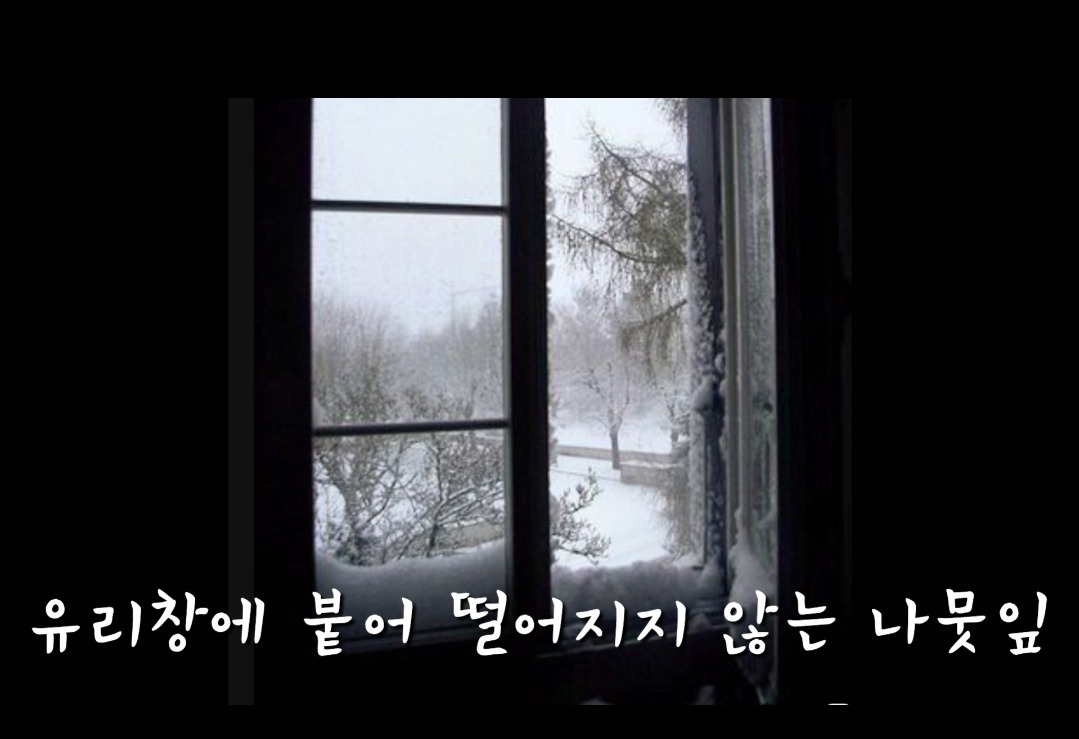 오르골 편지 동영상 2.jpg