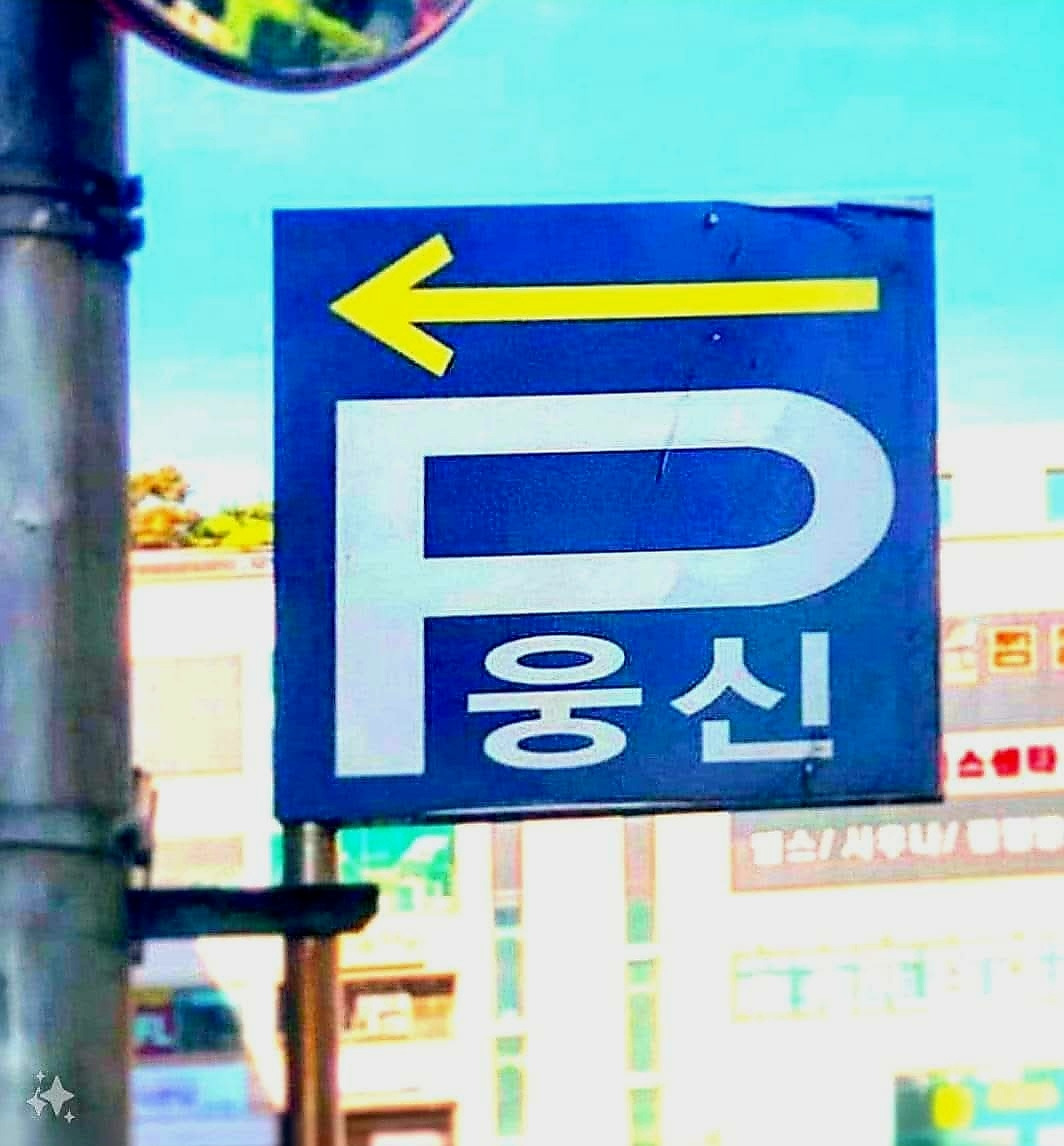 카지노 게임