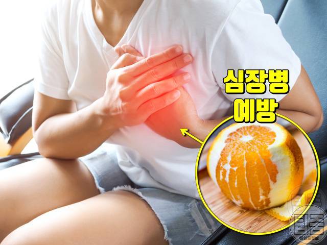 오렌지-효능-2.jpg