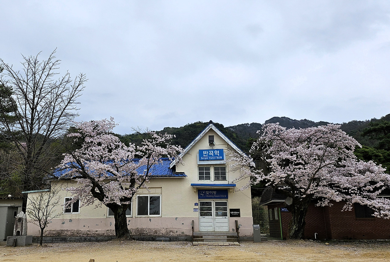 반곡역.jpg
