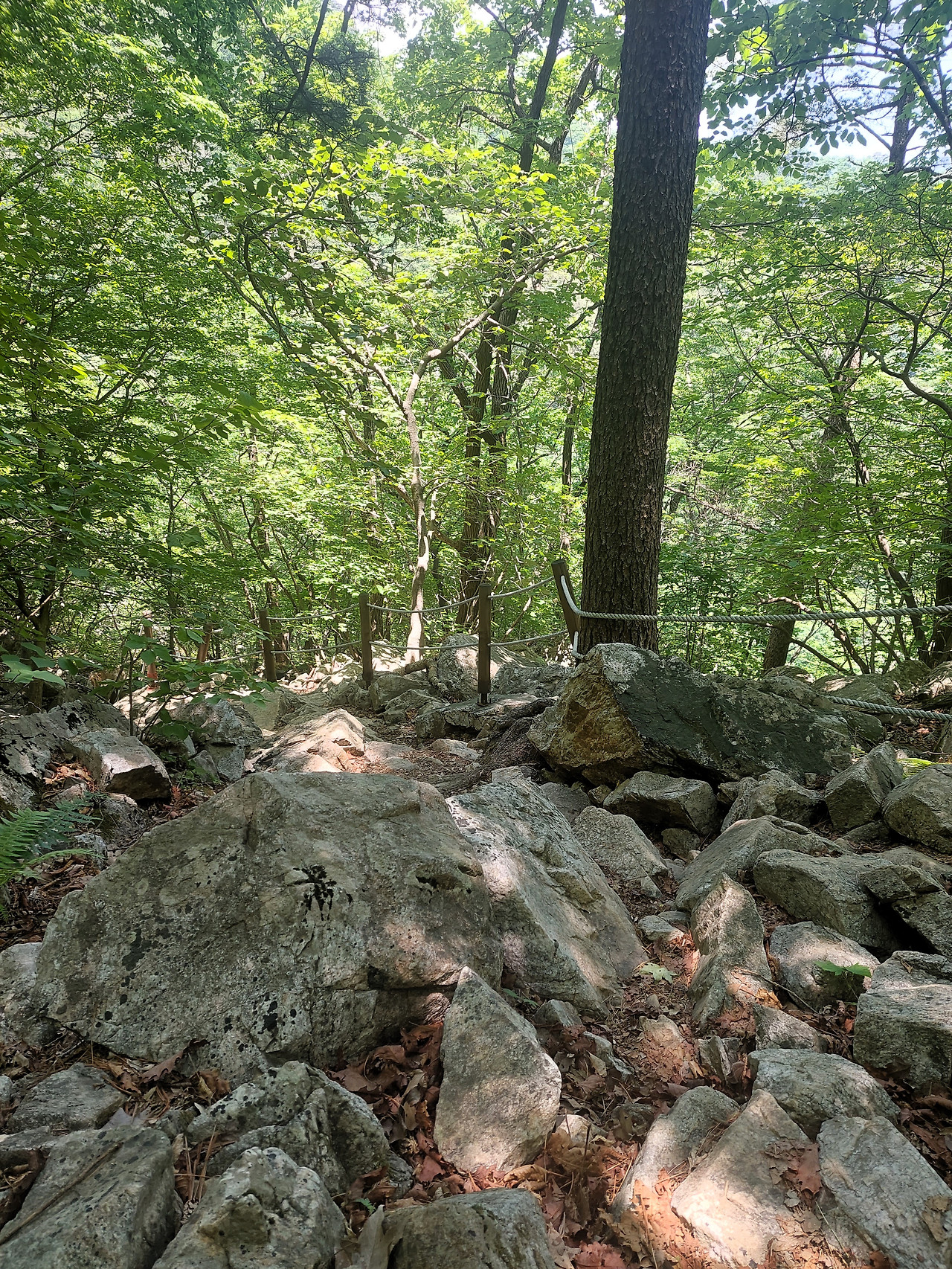 용문산 깔딱고개.jpg