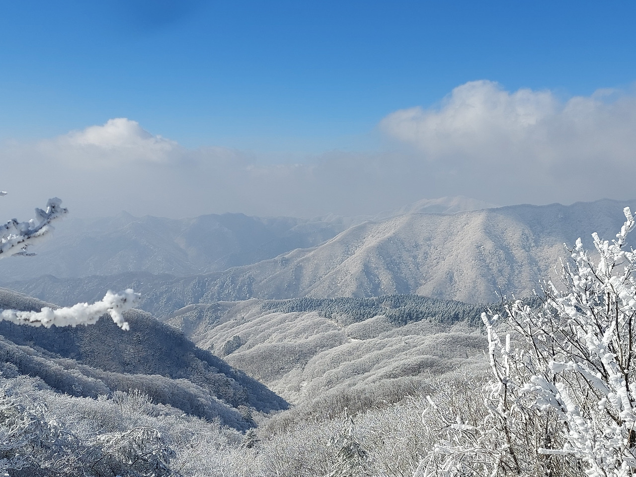 설경 태기산.jpg