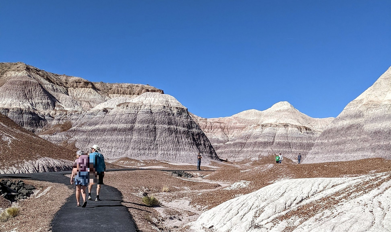 PXL_20220408_223141289 (1).jpg