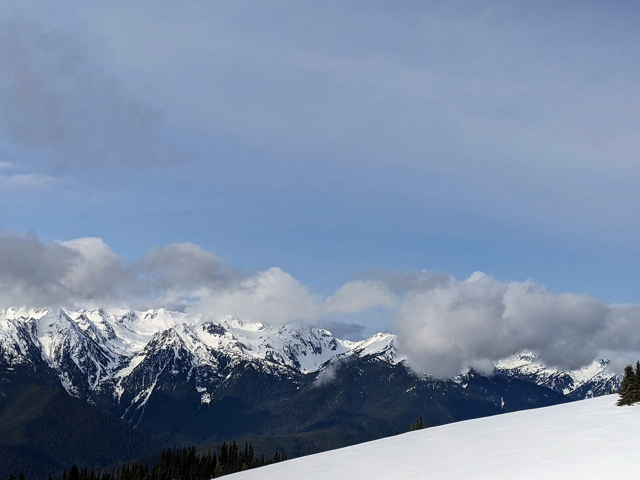 PXL_20220429_165554025 (1).jpg